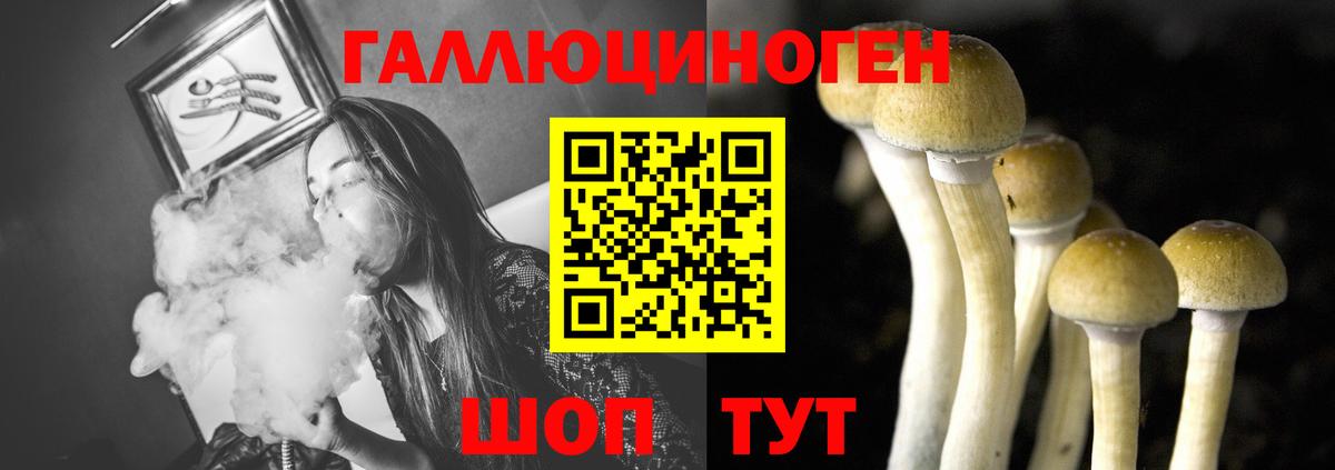 Киселёвск  Галлюциногенные грибы ЛСД  Вход с VPN 